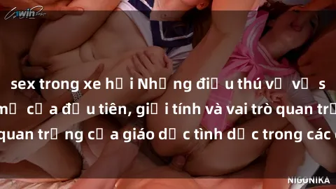 sex trong xe hơi Những điều thú vị về sex ở Bắc Âu: Sự mở cửa đầu tiên, giới tính và vai trò quan trọng của giáo dục tình dục trong các quốc gia này.